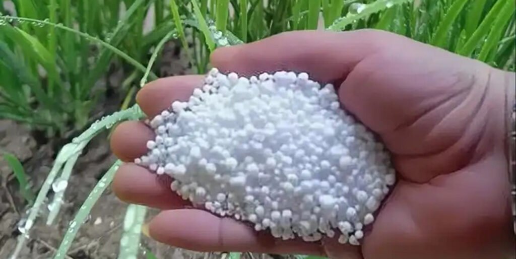 SCU sulfur coated urea Better for Your Soil