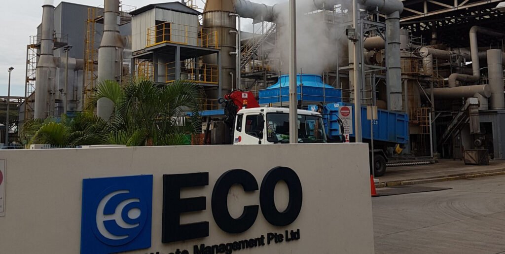 ECO waste plant old one