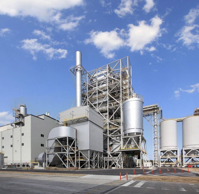 Natural Fertilizer for Plants – Eco-Friendly Feeding Image