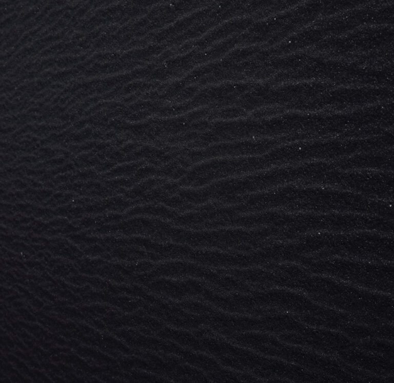 black san favicon