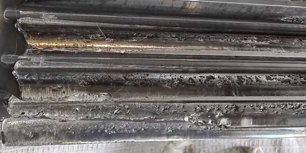 Numerous chipped teeth. Macropitting on the tooth surface.