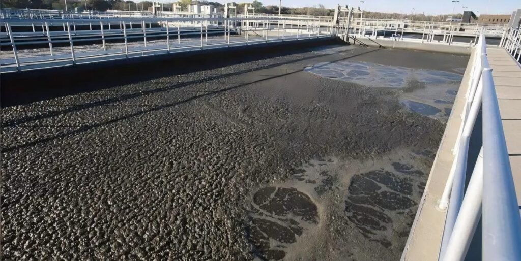 Generation Process of Sludge